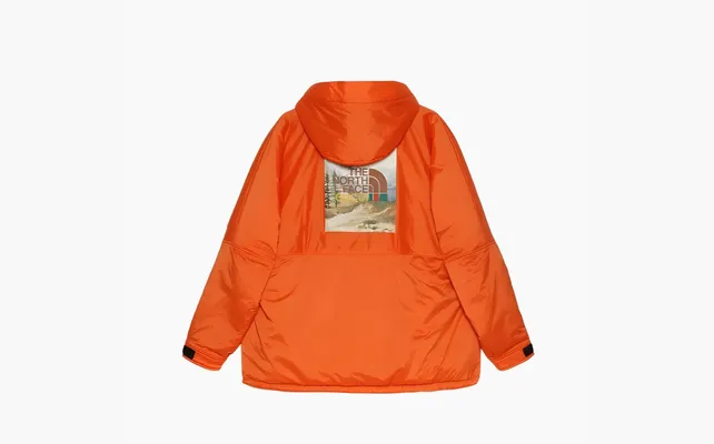  Gucci x The North Face Anorak Jacket «Orange» oranzhevye