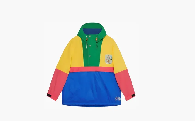  Gucci x The North Face Cotton Jacket «Multicolor» raznotsvetnye