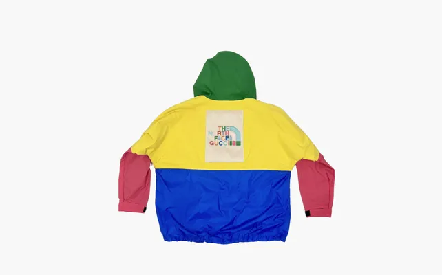  Gucci x The North Face Cotton Jacket «Multicolor» raznotsvetnye