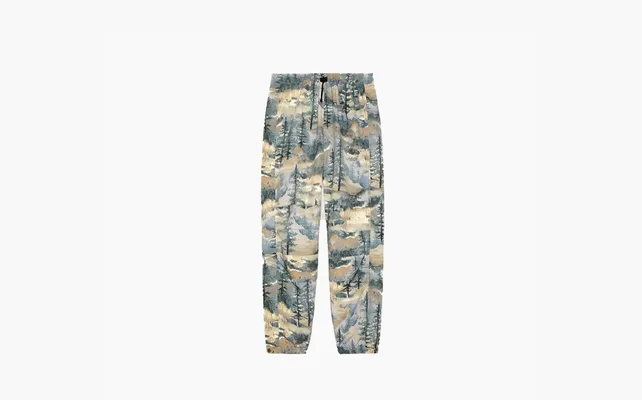 Одежда Gucci x The North Face Nylon Pant «Forest Print» raznotsvetnye