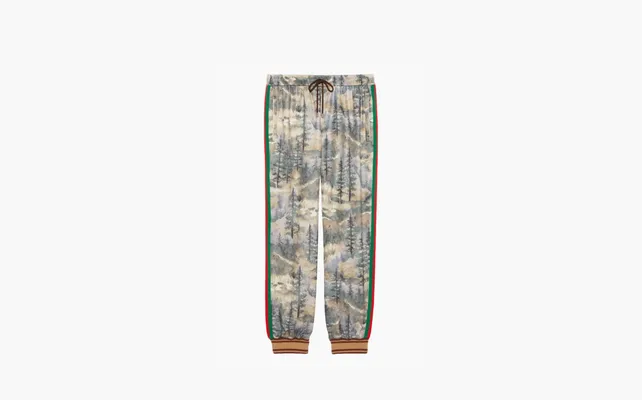 Одежда Gucci x The North Face Jogging Pant «Forest Print» raznotsvetnye