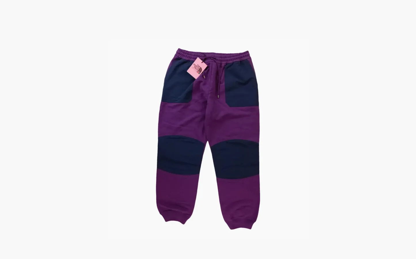 Gucci x The North Face Jogging Pant «Purple/Blue»