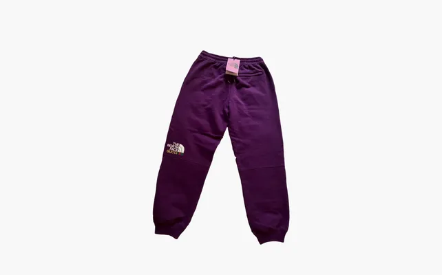 Одежда Gucci x The North Face Jogging Pant «Purple/Blue» fioletovye