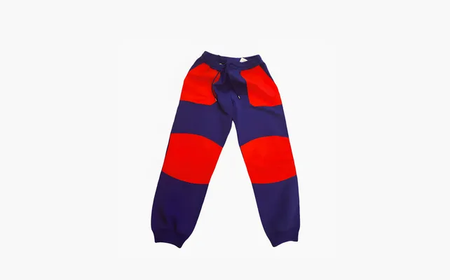 Одежда Gucci x The North Face Jogging Pant «Blue/Red» sinie