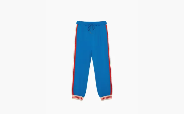 Одежда Gucci x The North Face Jogging Pant «Blue/Red/White» golubye