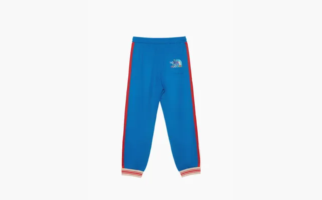 Одежда Gucci x The North Face Jogging Pant «Blue/Red/White» golubye