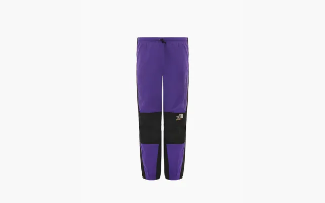 Одежда Gucci x The North Face Jogging Pant «Purple» fioletovye