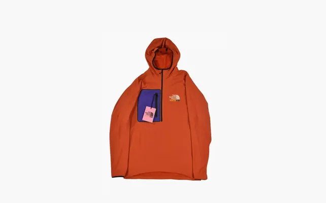 Одежда Gucci x The North Face Fleece Pullover «Orange» oranzhevye
