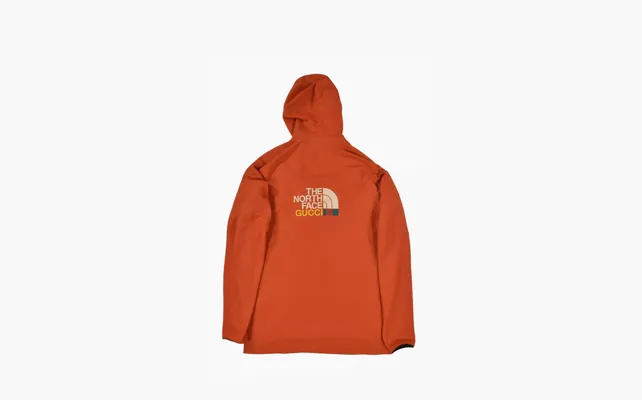 Одежда Gucci x The North Face Fleece Pullover «Orange» oranzhevye