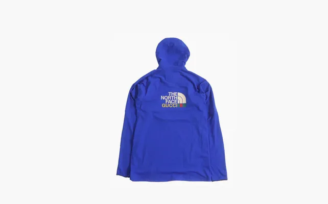 Одежда Gucci x The North Face Fleece Pullover «Blue/Orange» sinie
