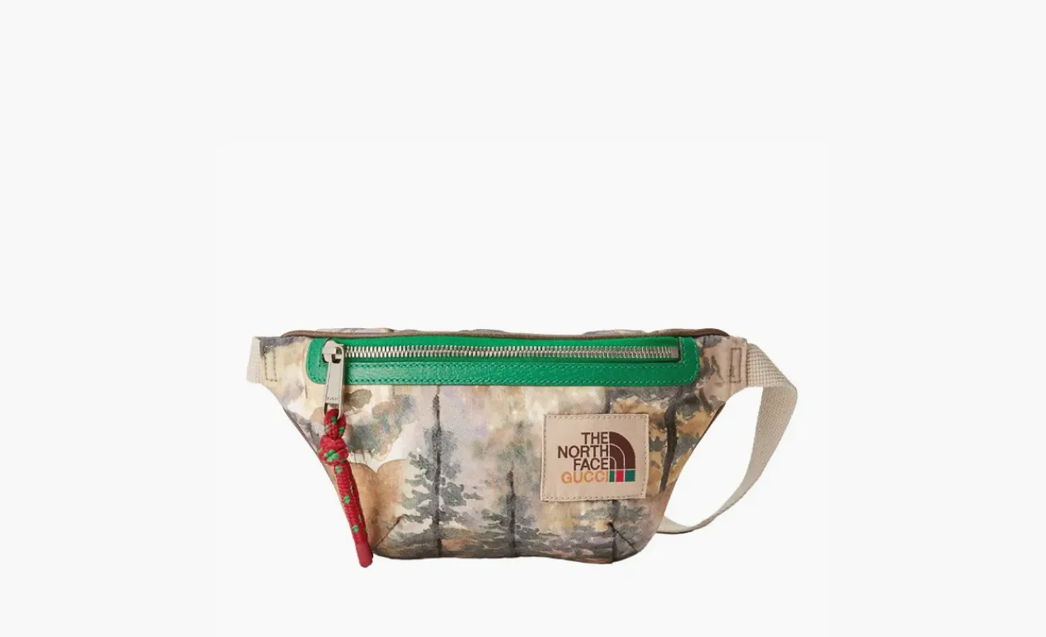 Gucci x The North Face Belt Bag «Multicolor»