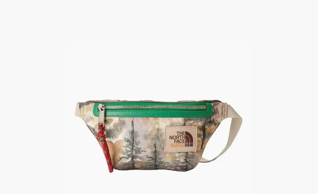 Сумки Gucci x The North Face Belt Bag «Multicolor» raznotsvetnye