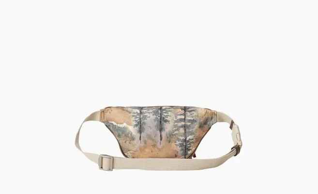 Сумки Gucci x The North Face Belt Bag «Multicolor» raznotsvetnye