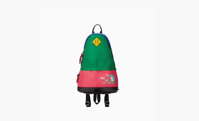 Сумки Gucci x The North Face Gucci Backpack «Multicolor» raznotsvetnye