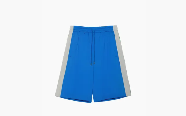 Одежда Gucci x The North Face Nylon Shorts «Blue» sinie