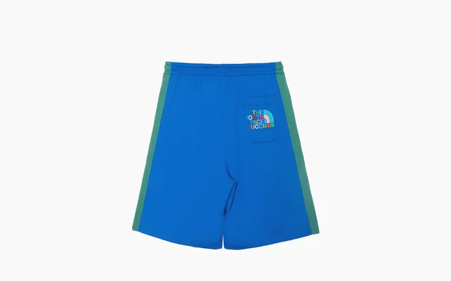 Одежда Gucci x The North Face Nylon Shorts «Blue» sinie