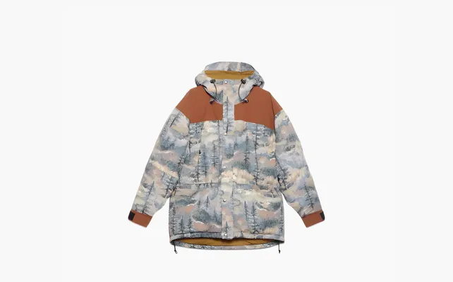  Gucci x The North Face Padded Jacket (FW21) «Forest Print» raznotsvetnye