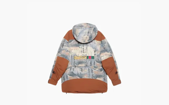  Gucci x The North Face Padded Jacket (FW21) «Forest Print» raznotsvetnye