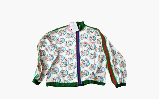  Gucci x The North Face Jacket «Multicolor/Ivory» raznotsvetnye