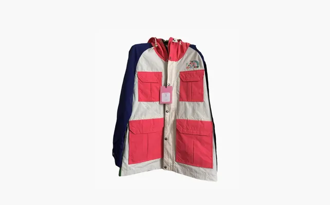  Gucci x The North Face Cotton Coat «White» raznotsvetnye