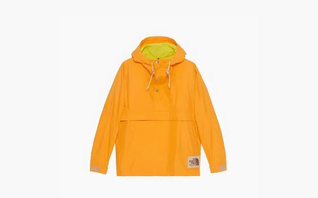  Gucci x The North Face Jacket «Yellow» zhyeltye