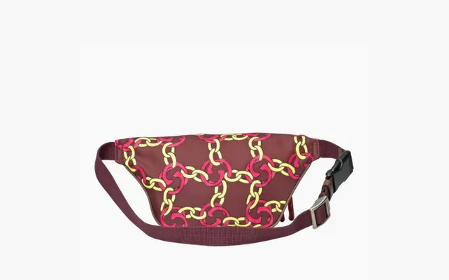 Сумки The North Face x Gucci Belt Bag «Burgundy Multi» красный