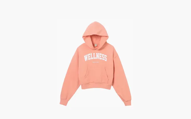 Одежда Sporty & Rich Wellness Ivy Cropped Hoodie «Salmon/White» rozovye
