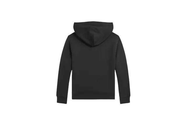 Одежда Polo Ralph Lauren Cotton hoodie «Black» черный