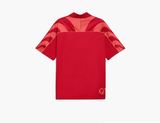 Одежда Puma x Harry Potter Relaxed Jersey Unisex «Dark Crimson» krasnye 
