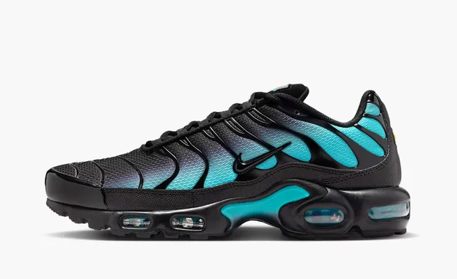  Nike Air Max Plus «Black Dusty Cactus» chyernye