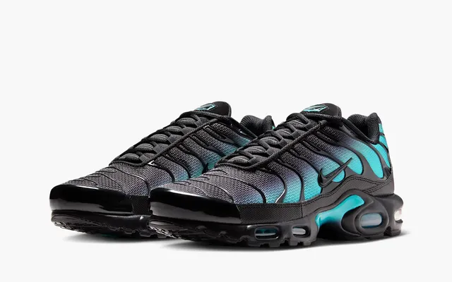  Nike Air Max Plus «Black Dusty Cactus» chyernye