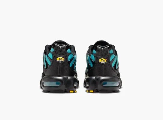  Nike Air Max Plus «Black Dusty Cactus» chyernye