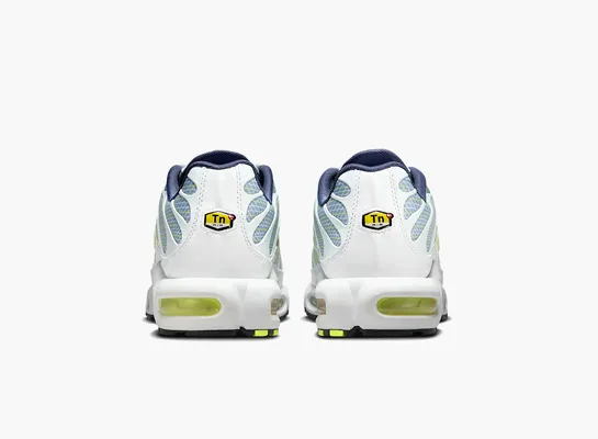  Nike Air Max Plus «Pebble Grey Lime» golubye