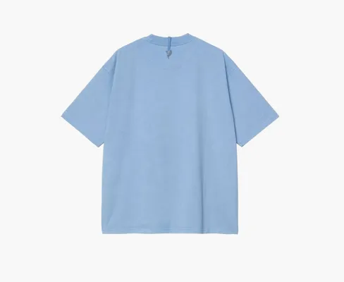 Одежда Carhartt WIP x Invincible s/s Pigment Dyed T-shirt «Piskine» lightBlue