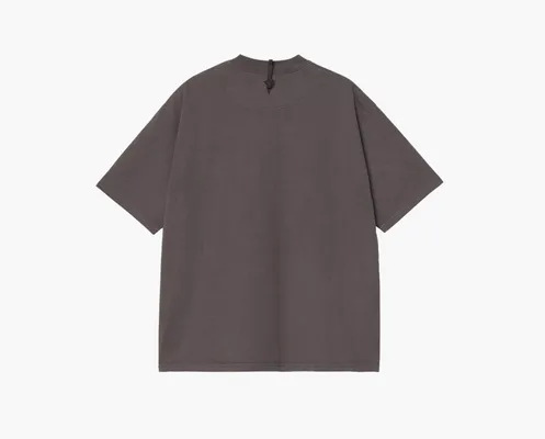 Одежда Carhartt WIP x Invincible s/s Pigment Dyed T-shirt «Soot» серый