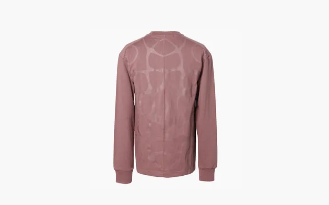 Одежда Nike ISPA Long Sleeve T-shirt Asia Sizing «Smokey Mauve» korichnevye