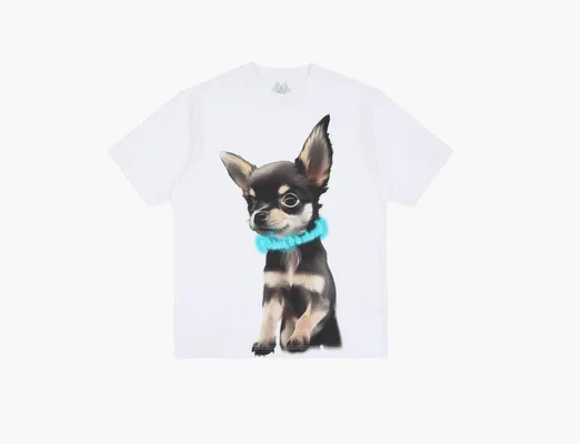 Одежда Palace Yappy T-Shirt «White» belye