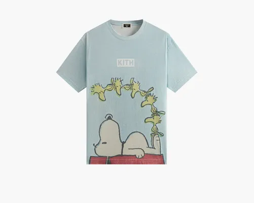 Одежда Kith For Peanuts Woodstock Doghouse Comic Vintage Tee «Glisten» golubye