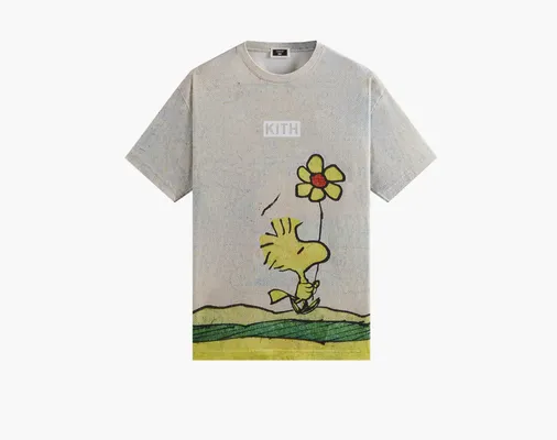 Одежда Kith For Peanuts Woodstock Comic Vintage Tee «Chalk» serye
