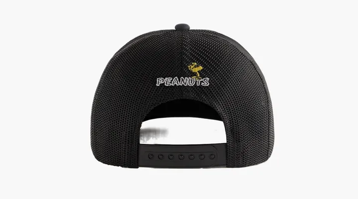Аксессуары Kith For Peanuts 75 Nolan Poly Foam Trucker With Suede Brim «Black» черный