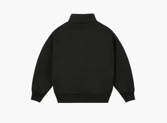 Одежда Palace x Carhartt WIP Carlux 1/2 Zip Sweatshirt «Black» chyernye
