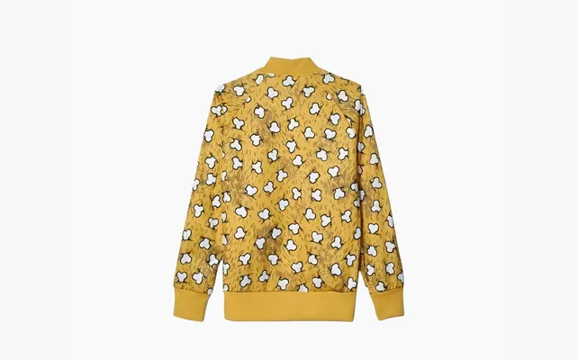 Одежда Adidas Men's Jeremy Scott Bones Track Jacket «Multicolor» raznotsvetnye