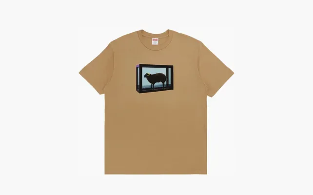 Одежда Supreme x Damien Hirst Tee «Khaki» korichnevye