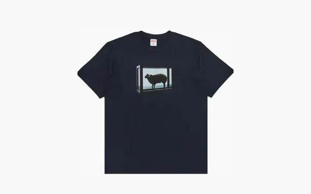 Одежда Supreme x Damien Hirst Tee «Navy» sinie