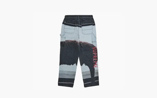 Одежда Supreme x Damien Hirst Painter Jean «Black»« chyernye