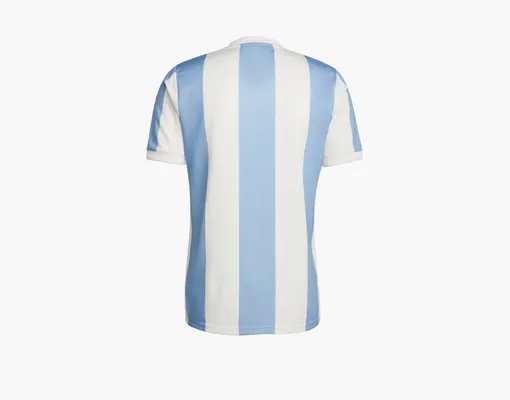 Одежда Adidas Argentina Anniversary Jersey T-Shirt  «Ambient Sky / Cloud White» белый