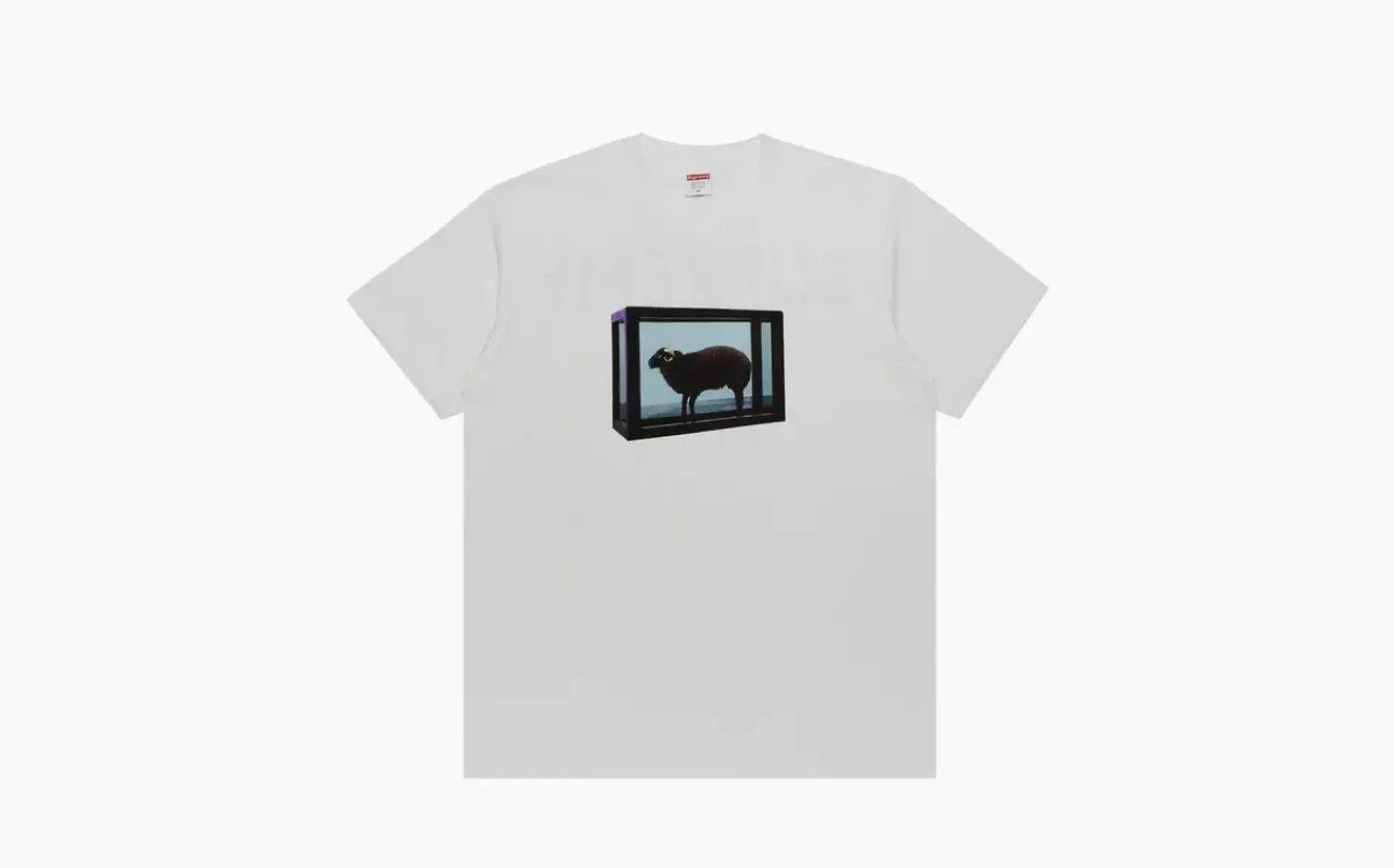 Supreme x Damien Hirst Tee «White»
