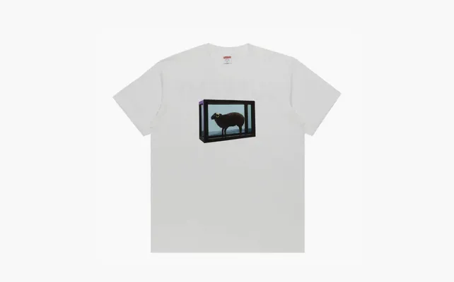 Одежда Supreme x Damien Hirst Tee «White» belye