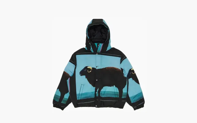  Supreme x Damien Hirst Down Puffer Jacket «Black» chyernye