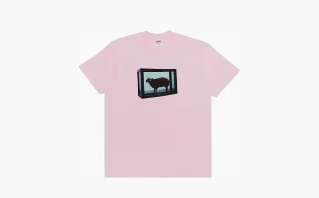 Одежда Supreme x Damien Hirst Tee «Light Pink» rozovye